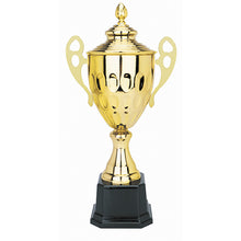 COPA 1041 ORO