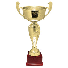 COPA 118 ORO