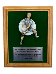GALVANO TERCIOPELO VERDE FIG 58 VOLEIBOL 19X 24 CM