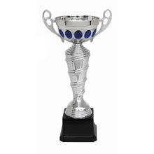 COPA S116