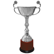 COPA SUPER CAMPEON 737 PLATA