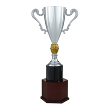 COPA ESPAÑA 733 PLATA