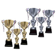 Copa 111 Oro - Plata